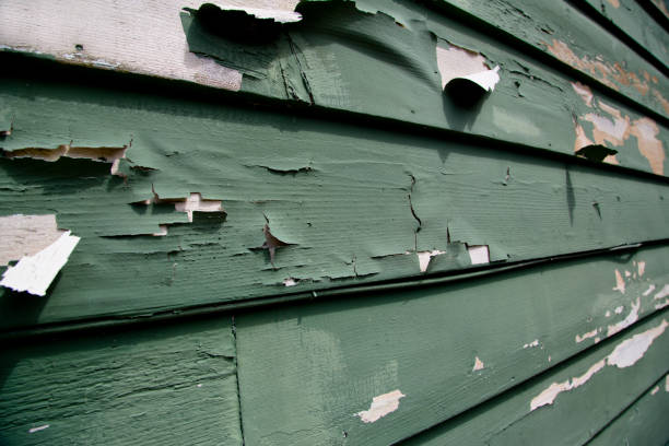Best Demolition Debris Removal  in Spring Hill, FL