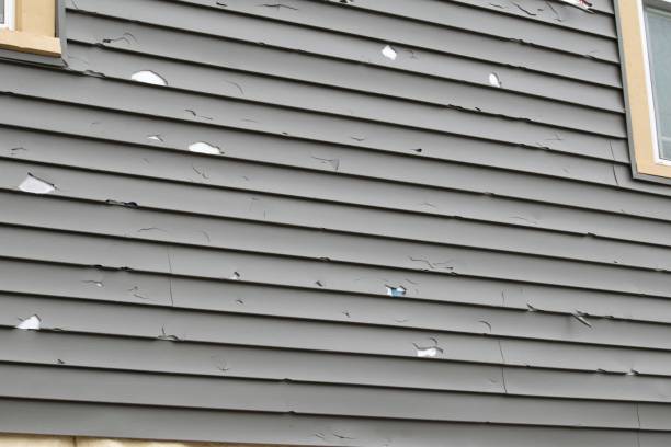 Best Construction Debris Removal  in Spring Hill, FL